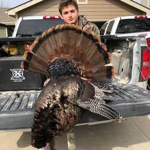 Meet your Posher, Mason